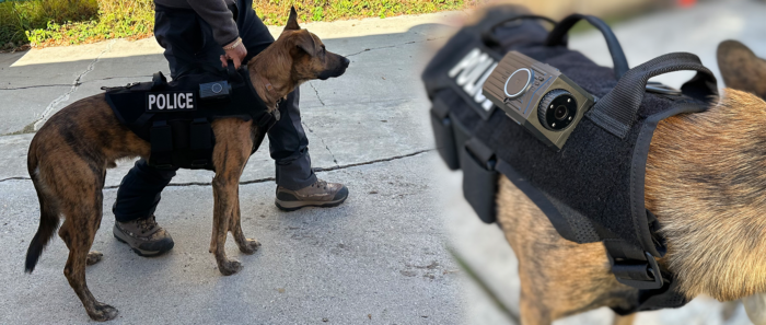 VLX CITE™ K9 4G Canine Worn Camera Kit - Image 8